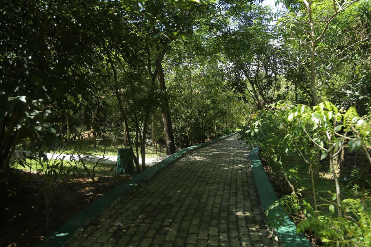Laluna Ayurveda Resort Bentota Esterno foto